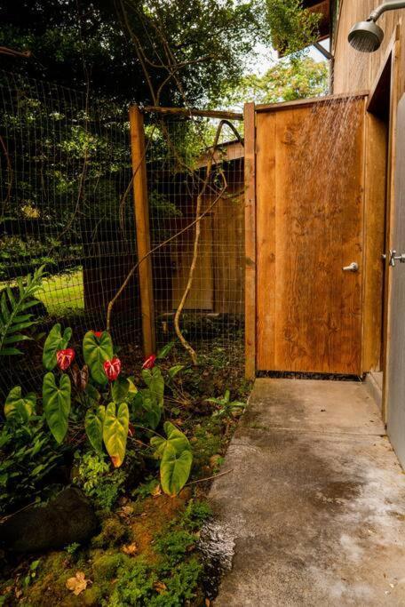 Jungle Haven Ocean Front Eco Villa On Fruit Farm パホア エクステリア 写真