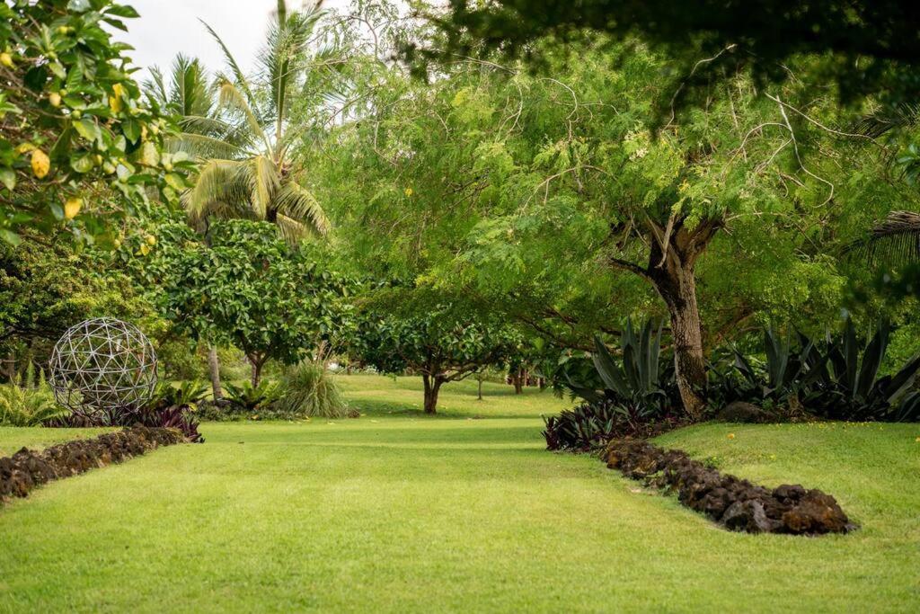 Jungle Haven Ocean Front Eco Villa On Fruit Farm パホア エクステリア 写真