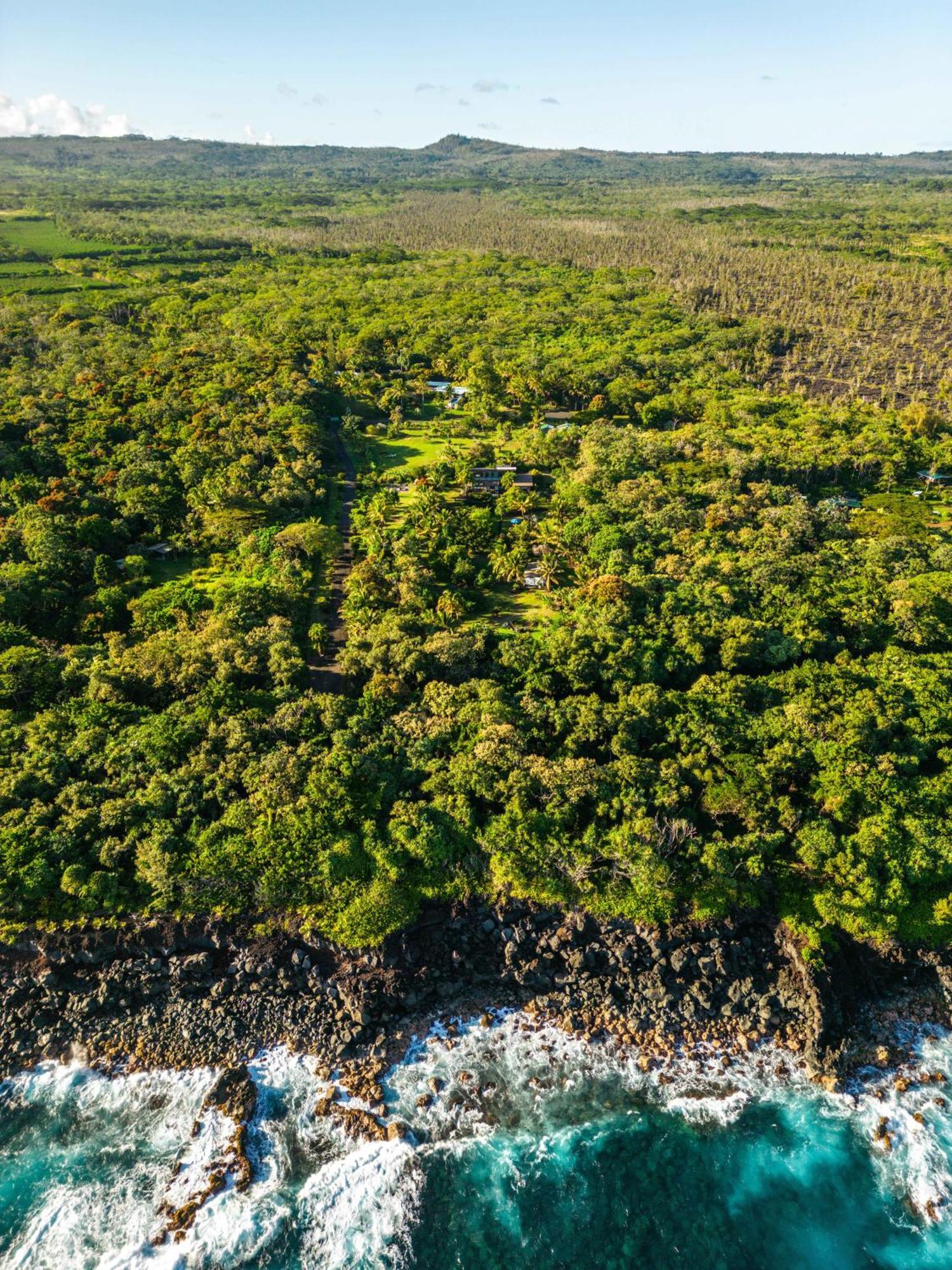 Jungle Haven Ocean Front Eco Villa On Fruit Farm パホア エクステリア 写真