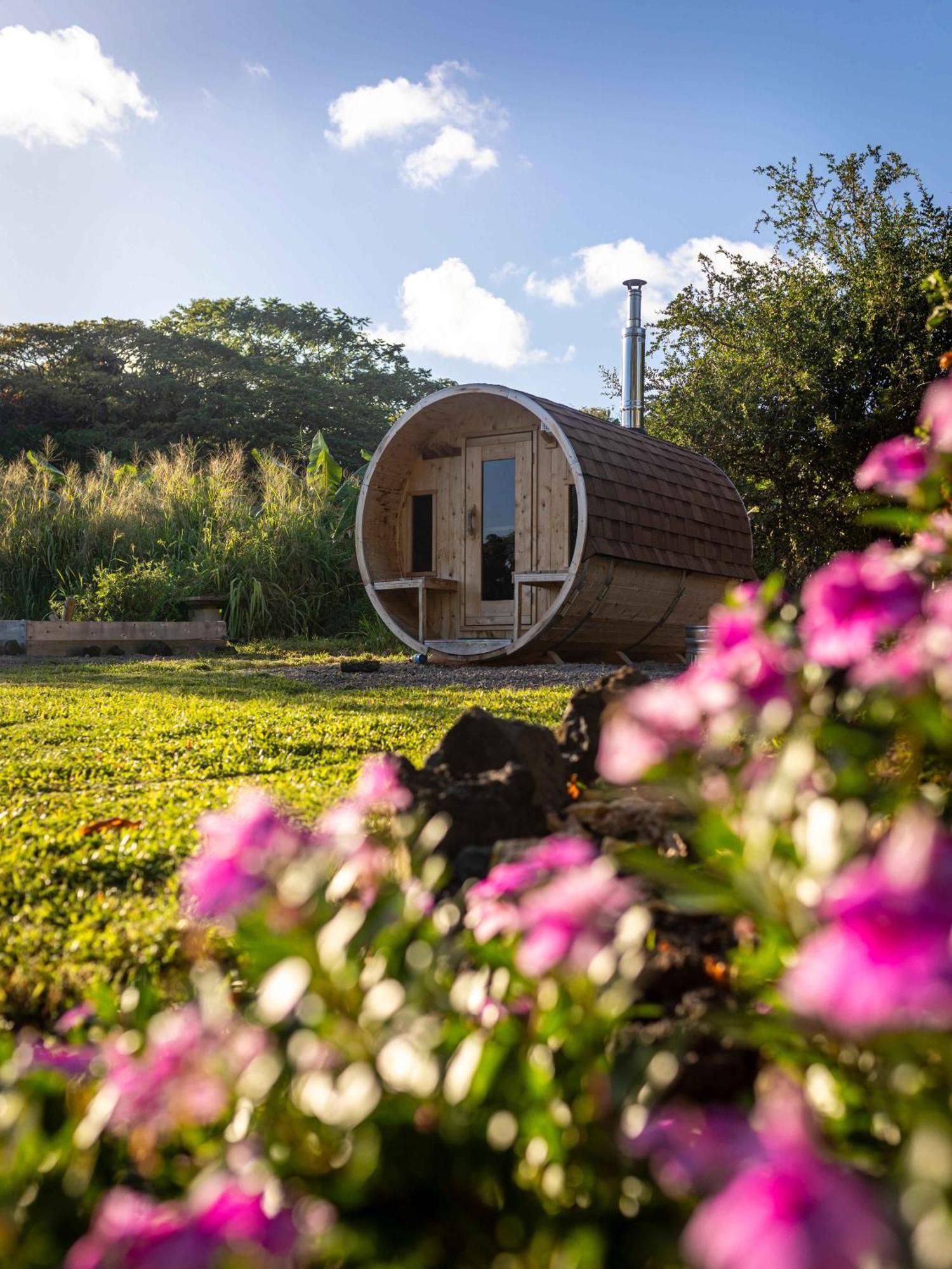 Jungle Haven Ocean Front Eco Villa On Fruit Farm パホア エクステリア 写真