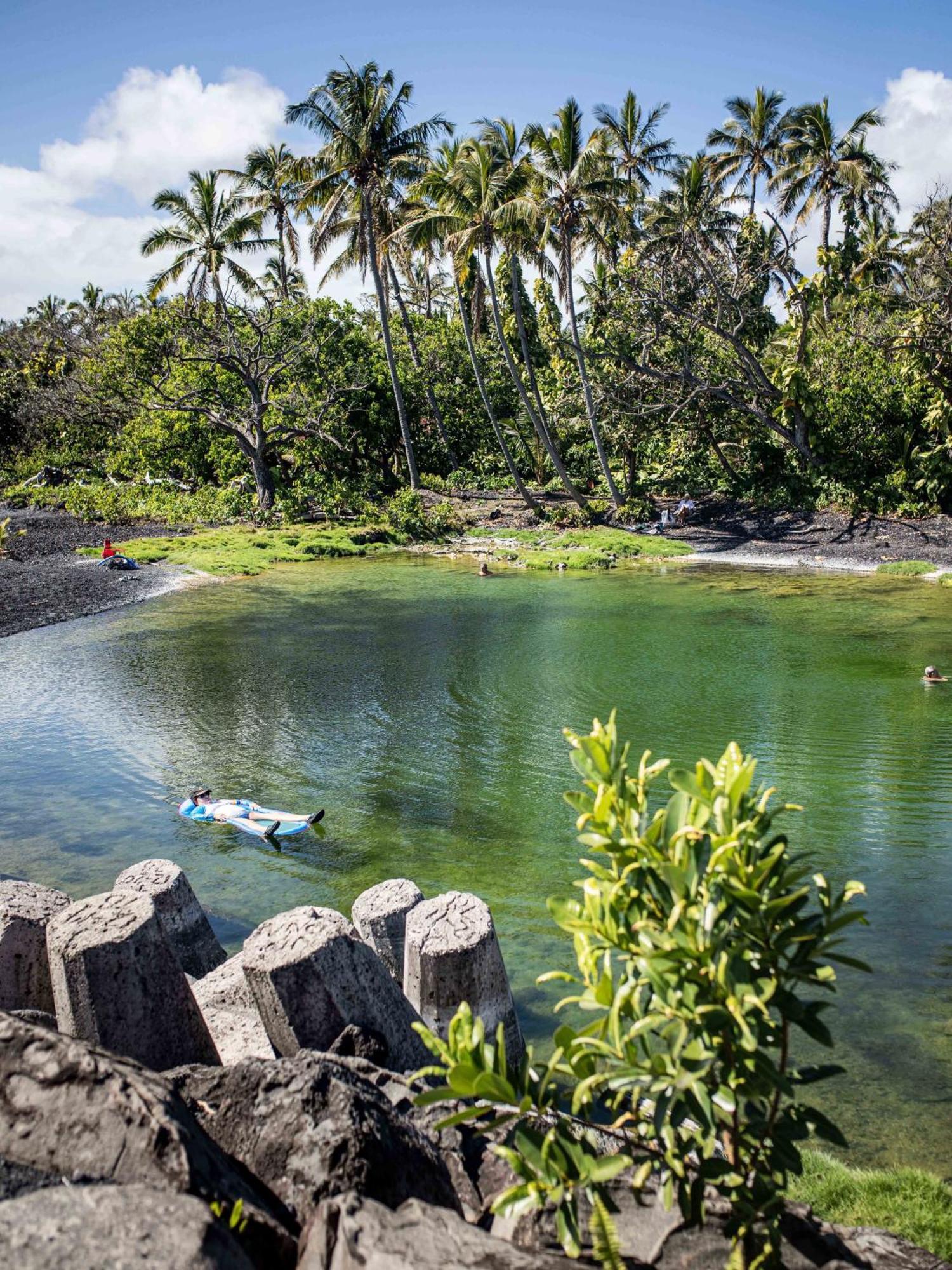 Jungle Haven Ocean Front Eco Villa On Fruit Farm パホア エクステリア 写真