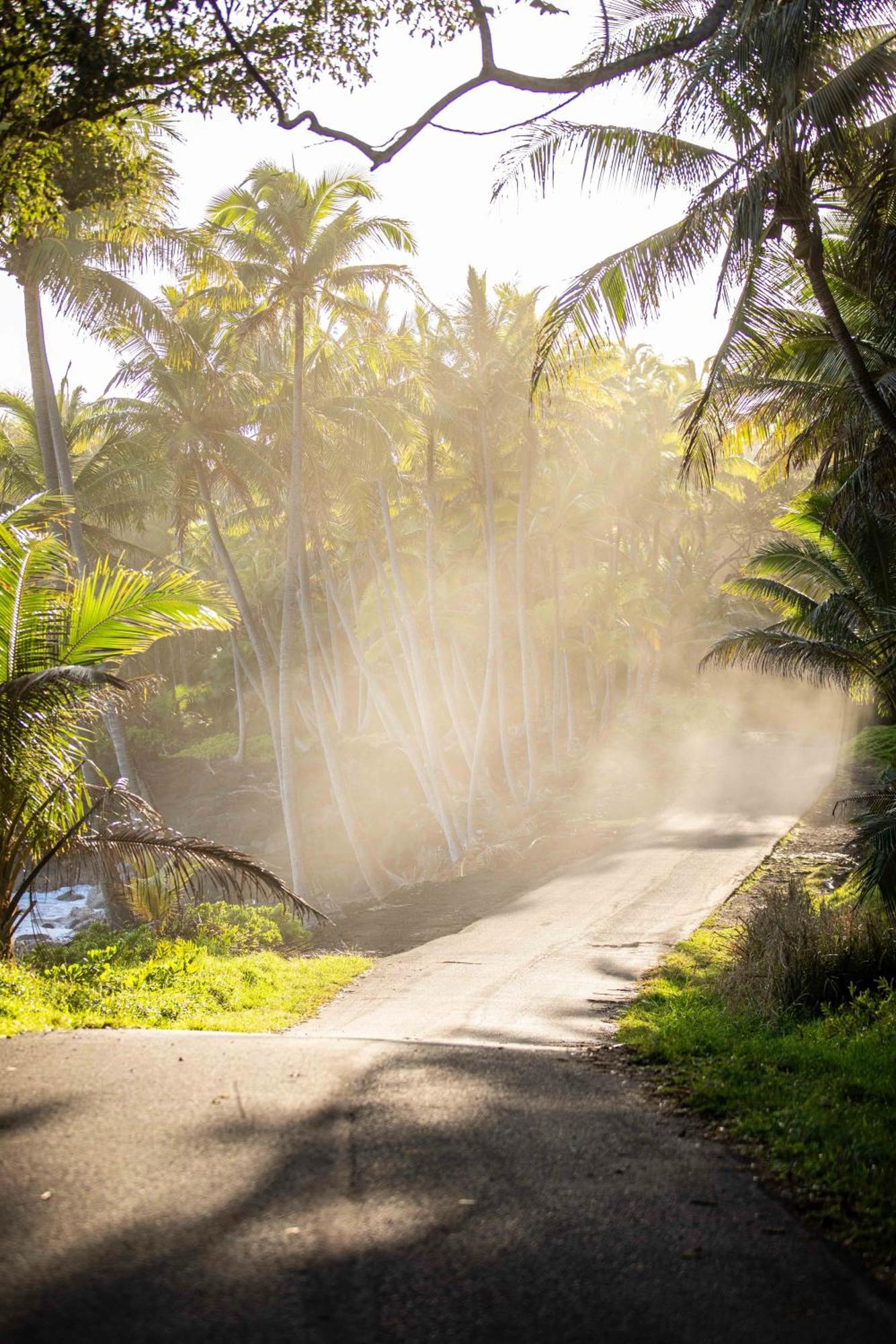 Jungle Haven Ocean Front Eco Villa On Fruit Farm パホア エクステリア 写真